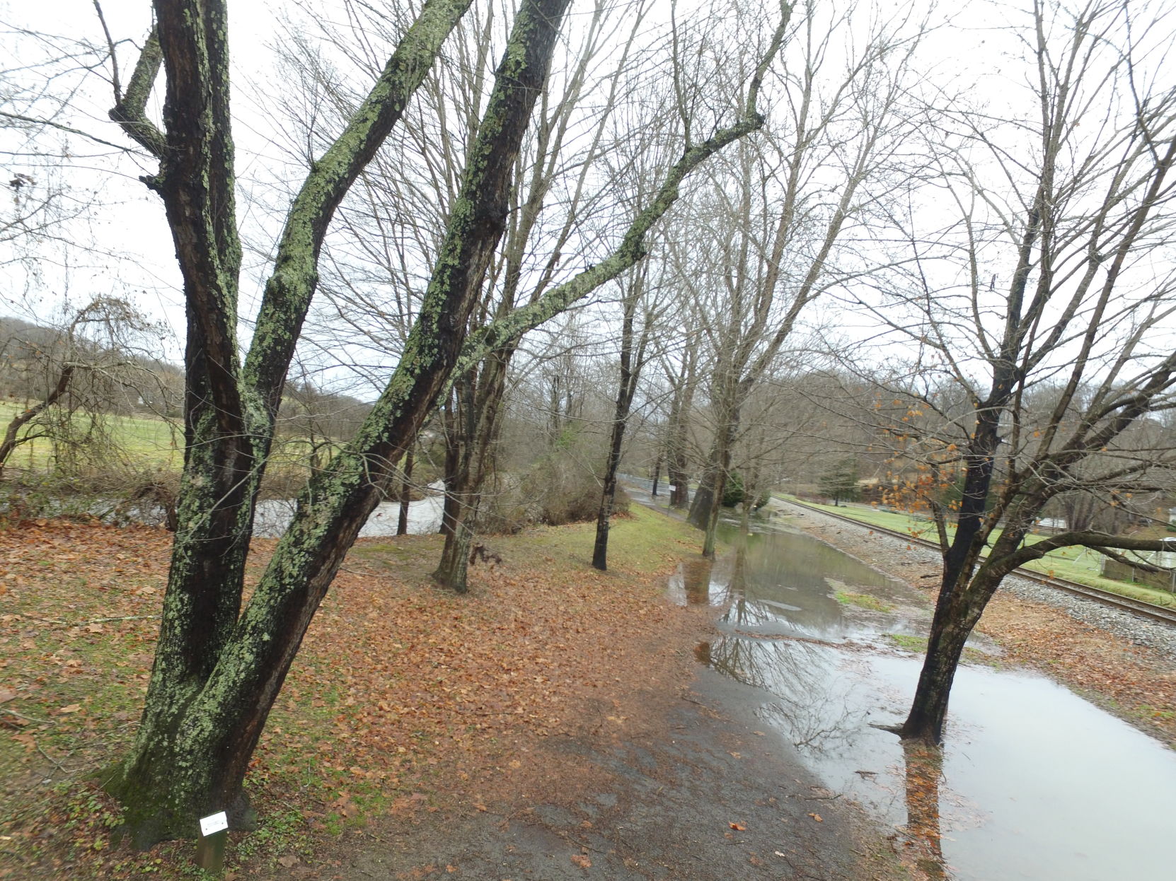 Richland Creek flooding Waynesville